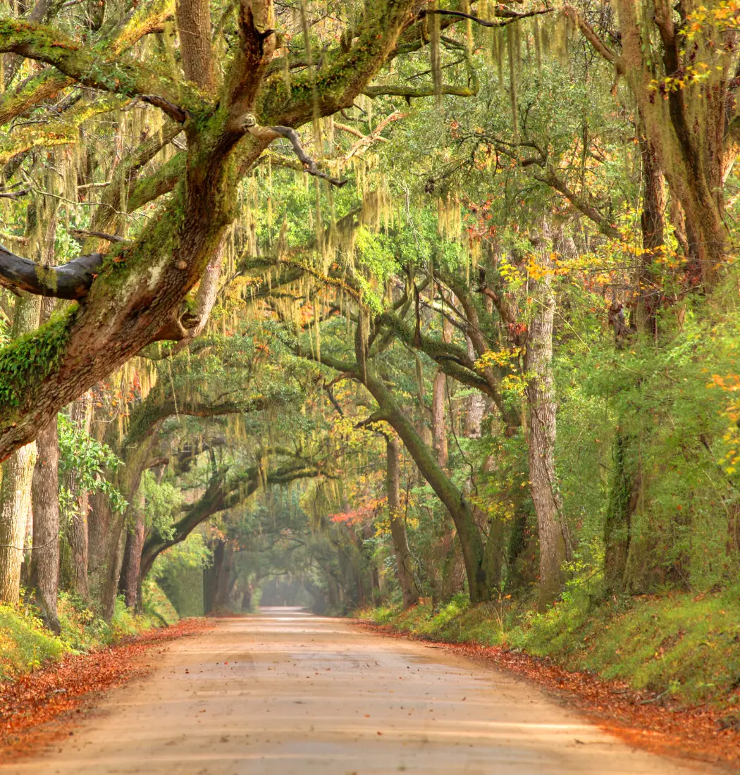 Scenic South Carolina landscape surrounding Lotus Recovery