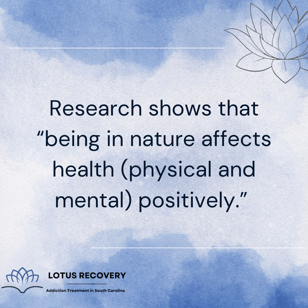 A graphic image from an addiction treatment center in South Carolina highlighting research that nature positively impacts physical and mental health